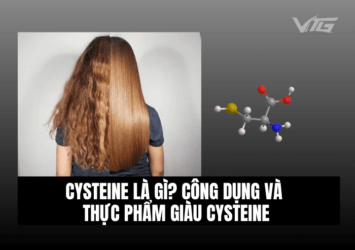 Collagen Là Gì? Tác Dụng, Cách Dùng &amp; Lưu Ý Khi Sử Dụng