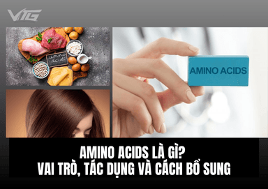 Amino Acids Là Gì? Vai Trò, Phân Loại Và Cách Bổ Sung Hiệu Quả