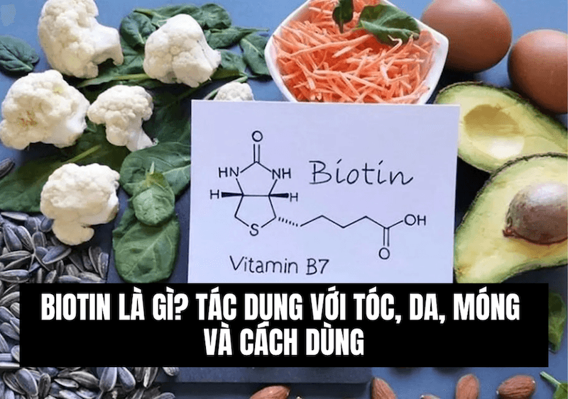 Biotin Là Gì? Tác Dụng Của Biotin Với Tóc, Da, Móng Và Cách Bổ Sung