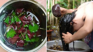 7 Cách Nấu Nước Gội Đầu Kích Thích Mọc Tóc Tại Nhà Đơn Giản