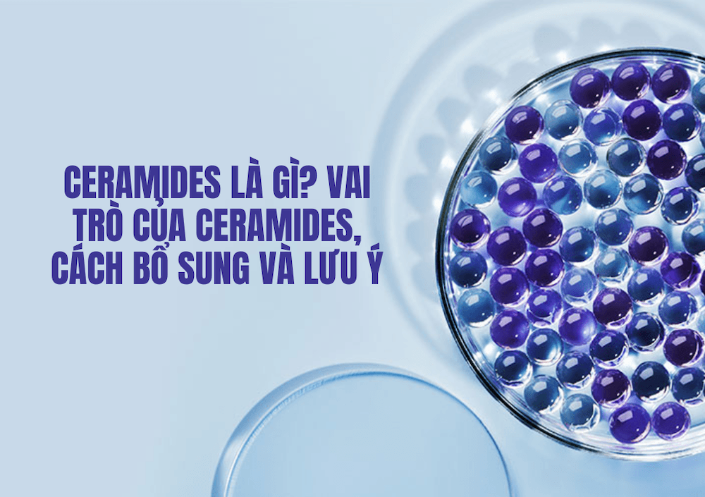Ceramides Là Gì? Vai Trò Của Ceramides, Cách Bổ Sung Và Lưu Ý