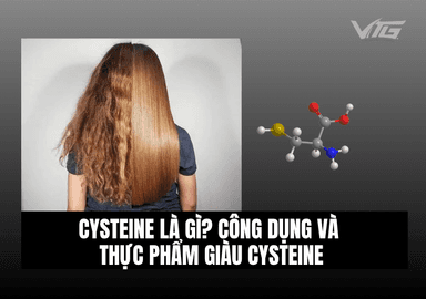 Collagen Là Gì? Tác Dụng, Cách Dùng & Lưu Ý Khi Sử Dụng