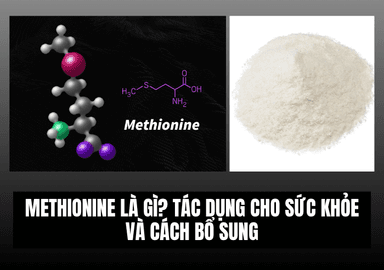 Methionine Là Gì? Tác Dụng Cho Sức Khỏe Và Cách Bổ Sung
