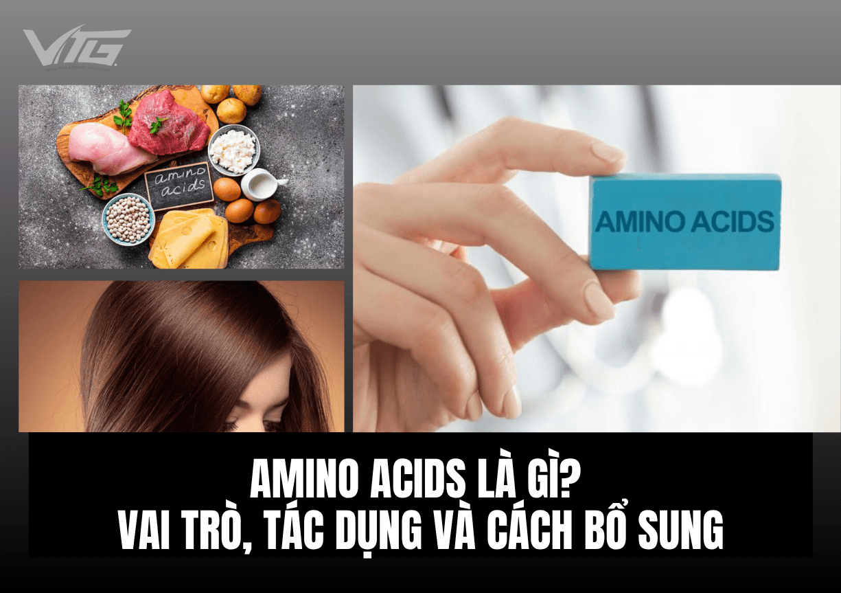 Amino Acids Là Gì? Vai Trò, Phân Loại Và Cách Bổ Sung Hiệu Quả