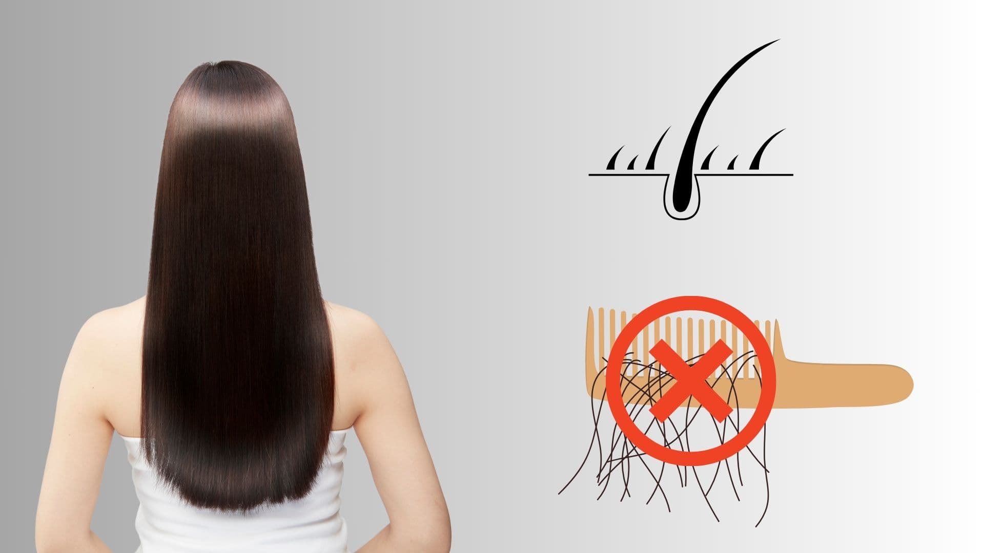 Những Cách Trị Rụng Tóc Và Kích Thích Mọc Tóc Hiệu Quả Tại Nhà